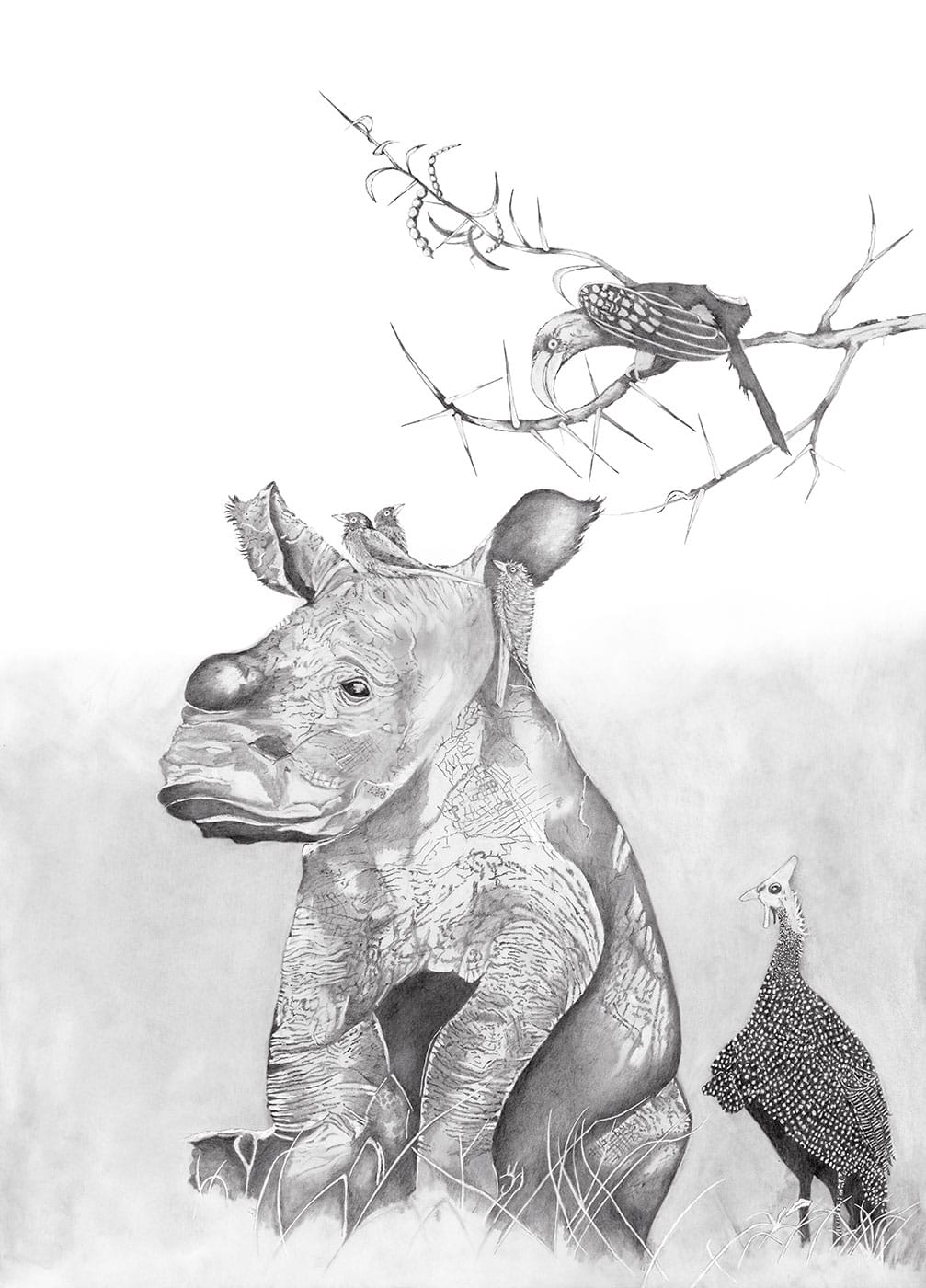 Rhino / Ink Sketches