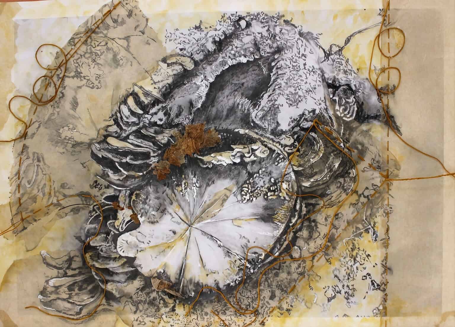 Tracey Thoolen Sutures and Spores Header