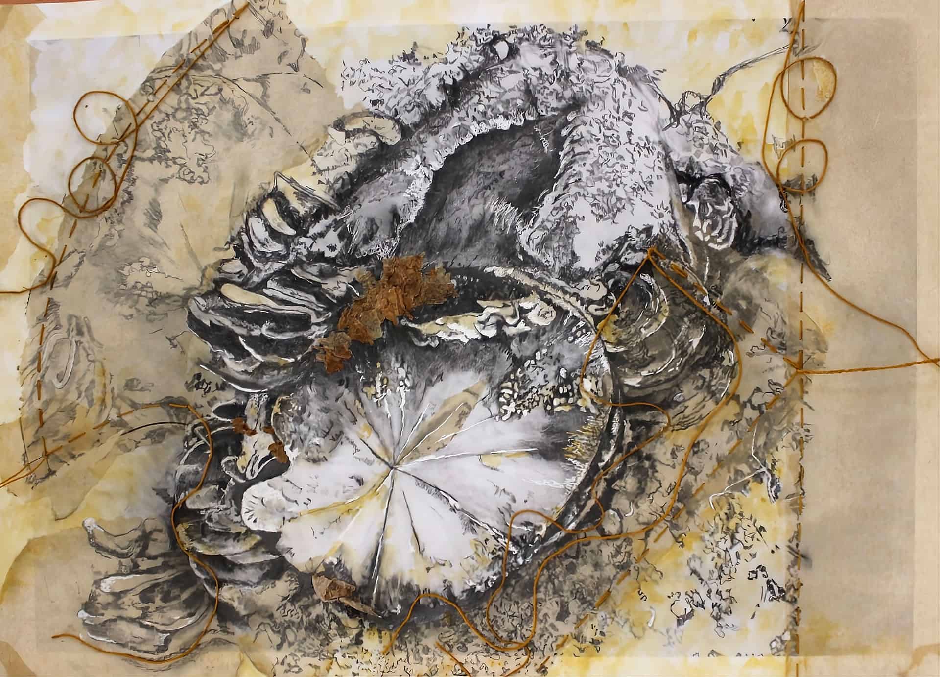 Tracey Thoolen Sutures and Spores Header